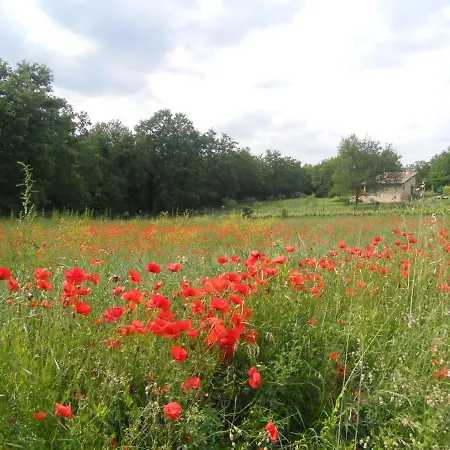 Idyllic Old Charming Near Siena Villa