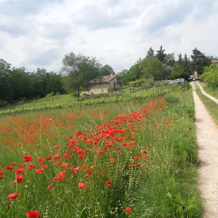 Idyllic Old Charming Near Siena Villa *